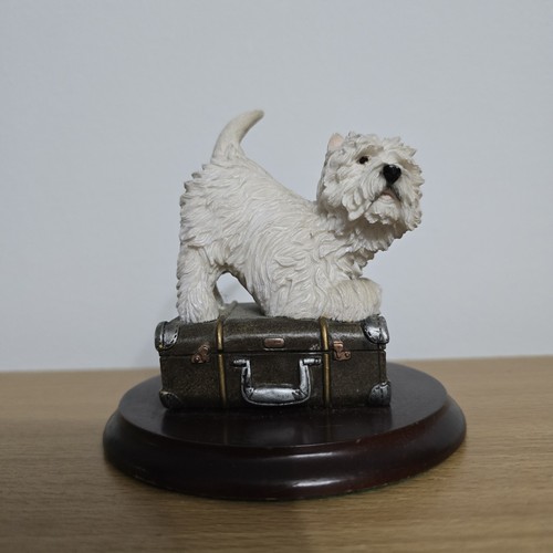 Leonardo west highland terrier - leonardo,