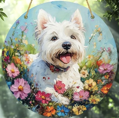West highland westie terrier - westie,