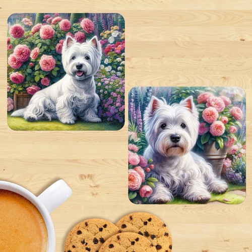 West highland white terrier - highland,