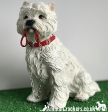 Large West Highland Terrier