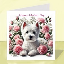 West Highland White Terrier