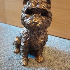 West Highland terrier (westie)