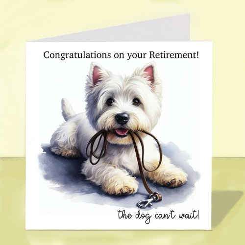West highland white - white, terrier