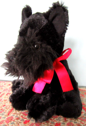 Sweet black scottie dog - sweet,
