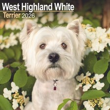 West Highland White Terrier