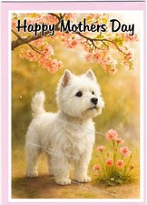 West Highland White Terrier /