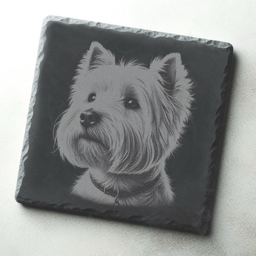 West highland white - highland, terrier