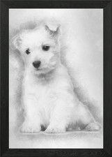 West Highland Terrier pupp