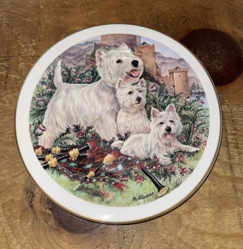 Jayne west highland white - jayne,