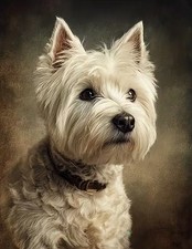 West Highland Terrier Dog Oil