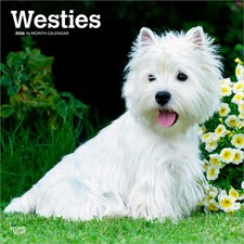 West Highland White Terriers