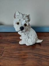 West Highland Terrier/Scottie